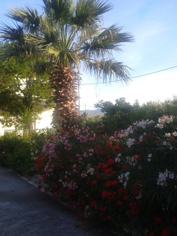 Elea Guesthouse Galaxidi Exterior photo