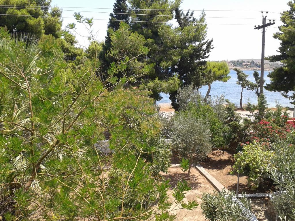 Elea Guesthouse Galaxidi Exterior photo