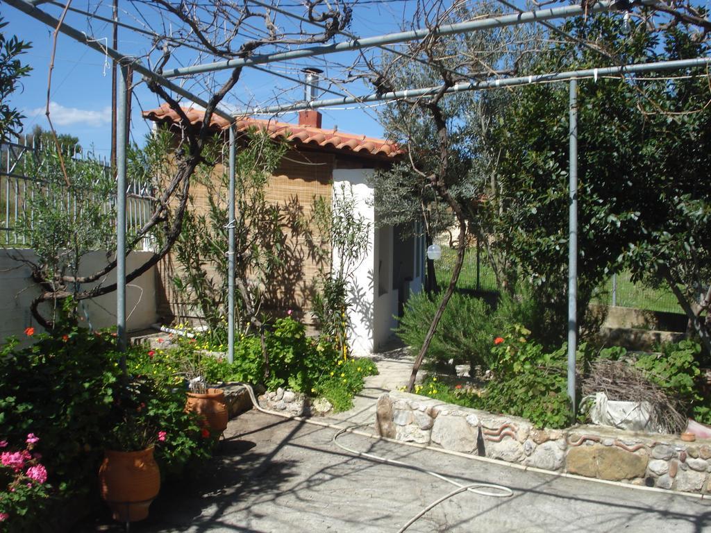 Elea Guesthouse Galaxidi Exterior photo