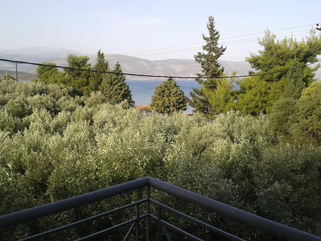 Elea Guesthouse Galaxidi Room photo