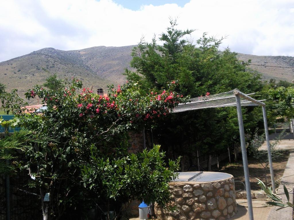 Elea Guesthouse Galaxidi Exterior photo